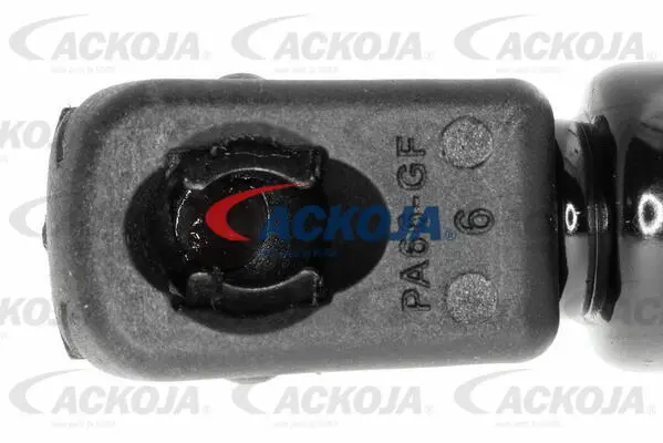 Gas Spring, boot/cargo area