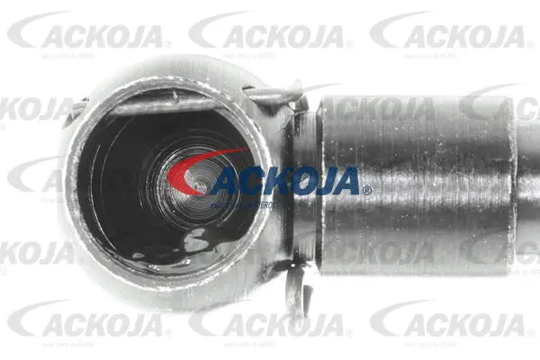 Gas Spring, boot/cargo area