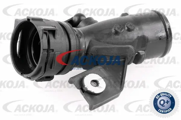 Charge Air Hose (A38-0296)