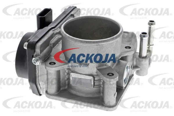 Throttle Body (A38-81-0006)