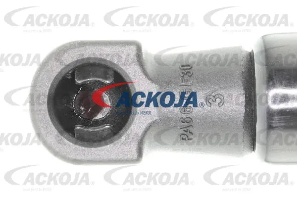 Gas Spring, boot/cargo area