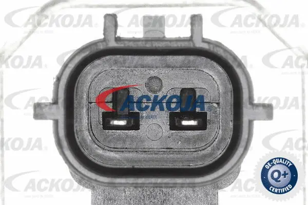 Control Valve, camshaft adjustment