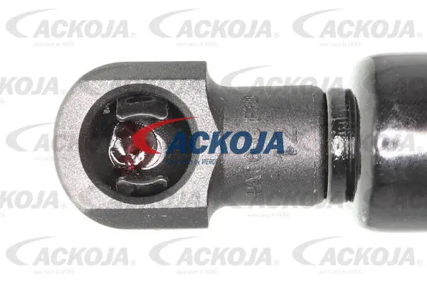 Gas Spring, boot/cargo area