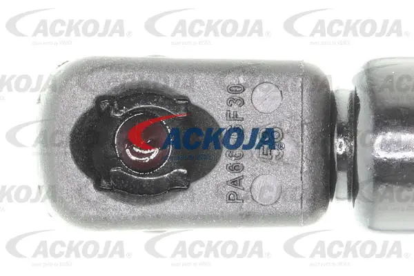 Gas Spring, boot/cargo area