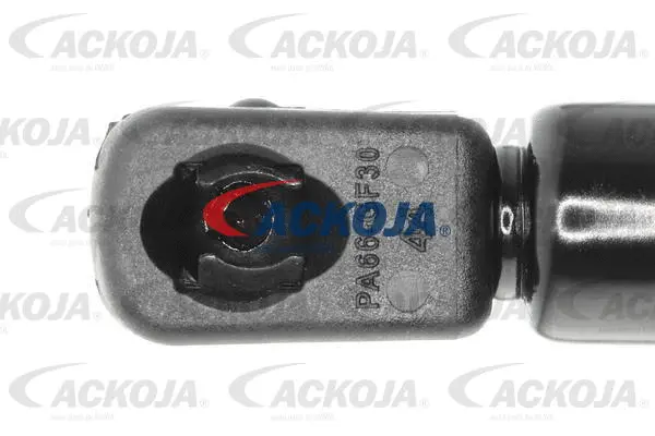 Gas Spring, boot/cargo area