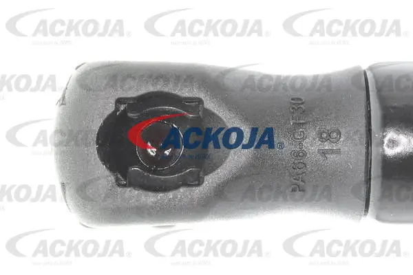 Gas Spring, boot/cargo area