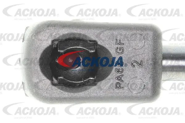 Gas Spring, boot/cargo area