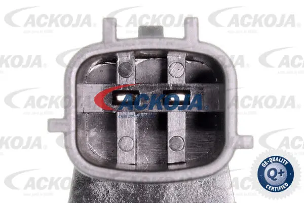 Control Valve, camshaft adjustment