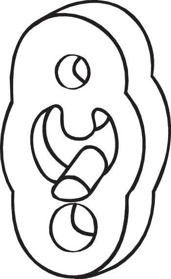 Rubber Strip, exhaust system (255-117)