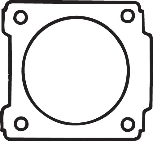 Gasket, exhaust pipe (256-144)