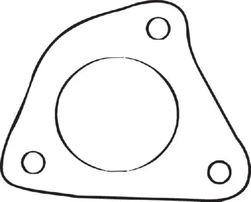 Gasket, exhaust pipe (256-905)
