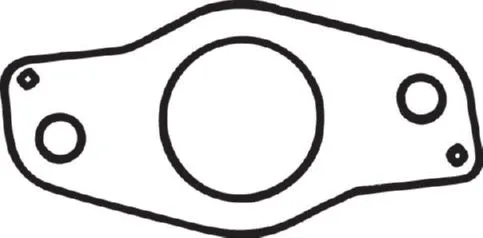 Gasket, exhaust pipe (256-059)