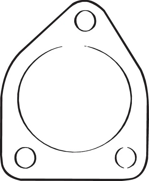 Gasket, exhaust pipe (256-053)