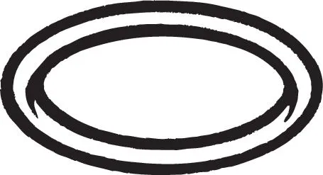 Gasket, exhaust pipe (256-215)