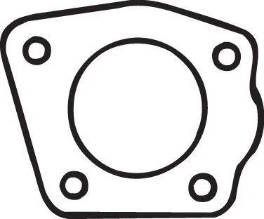 Gasket, exhaust pipe (256-537)