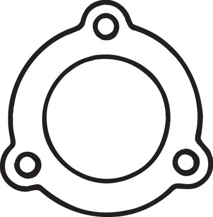 Gasket, exhaust pipe (256-847)