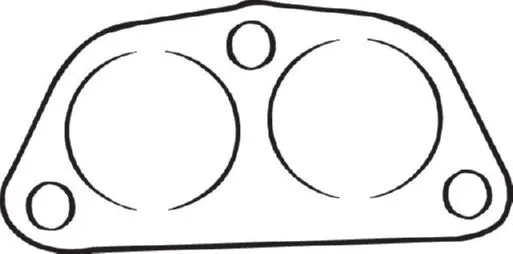 Gasket, exhaust pipe (256-166)