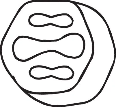 Rubber Strip, exhaust system (255-946)