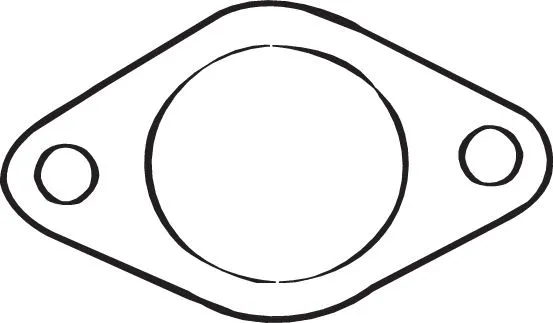 Gasket, exhaust pipe (256-177)