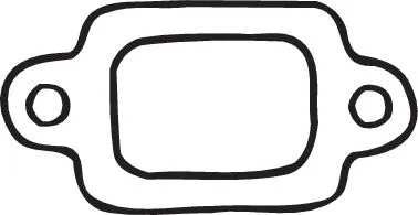 Gasket, exhaust pipe (256-240)