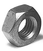 Nut