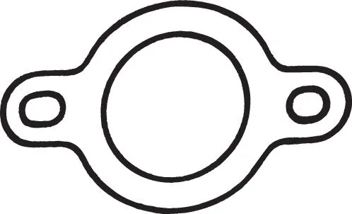 Gasket, exhaust pipe (256-068)