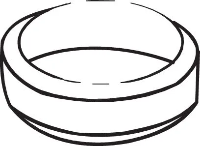 Gasket, exhaust pipe (256-530)