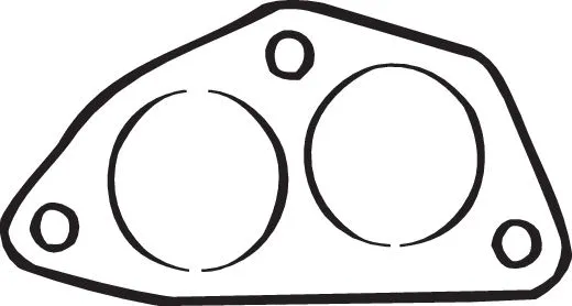 Gasket, exhaust pipe (256-037)