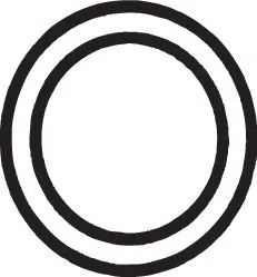 Gasket, exhaust pipe (256-605)