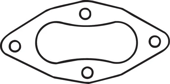 Gasket, exhaust pipe (256-084)