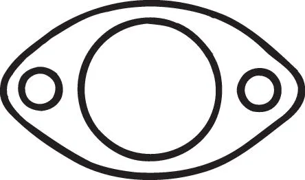 Gasket, exhaust pipe (256-008)