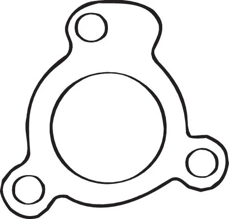 Gasket, exhaust pipe (256-713)