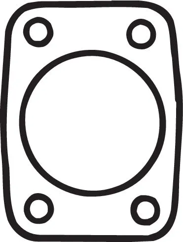 Gasket, exhaust pipe (256-148)