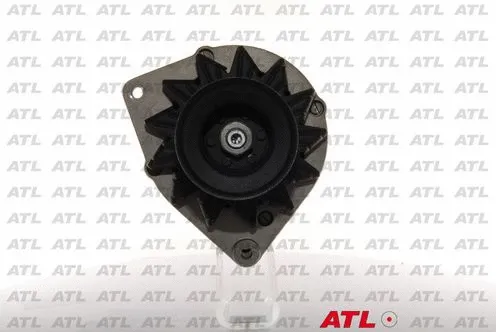 Alternator (L 31 010)