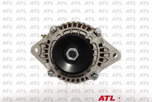 Alternator (L 81 010)