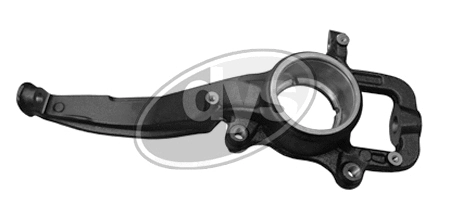 Steering Knuckle, wheel suspension (79-04417L)