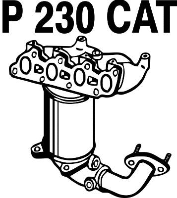 Catalytic Converter (P230CAT)