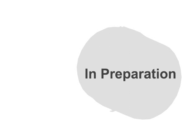 Centre Muffler (T22405)