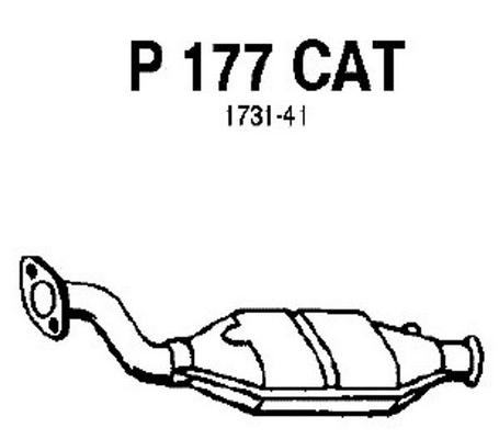 Catalytic Converter (P177CAT)