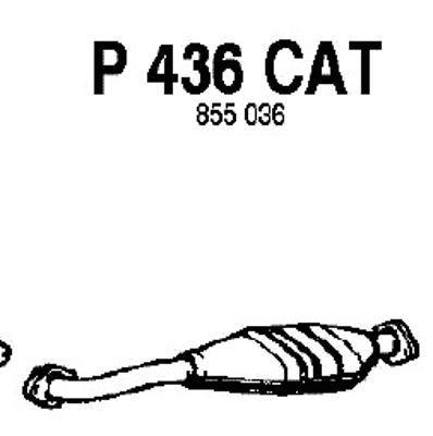 Catalytic Converter (P436CAT)