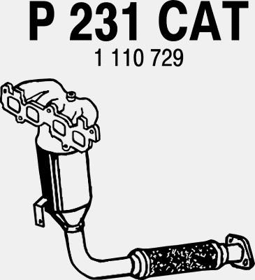 Catalytic Converter (P231CAT)