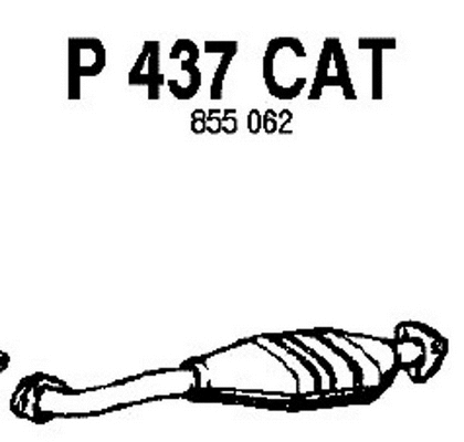 Catalytic Converter (P437CAT)