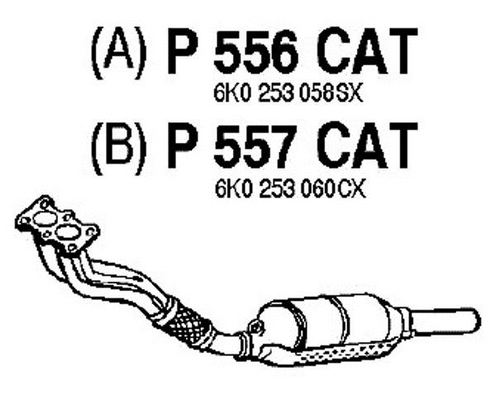 Catalytic Converter (P556CAT)