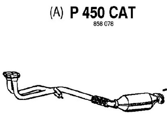 Catalytic Converter (P450CAT)
