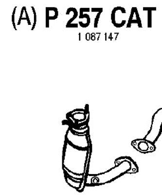 Catalytic Converter (P257CAT)