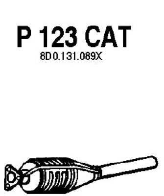 Catalytic Converter (P123CAT)