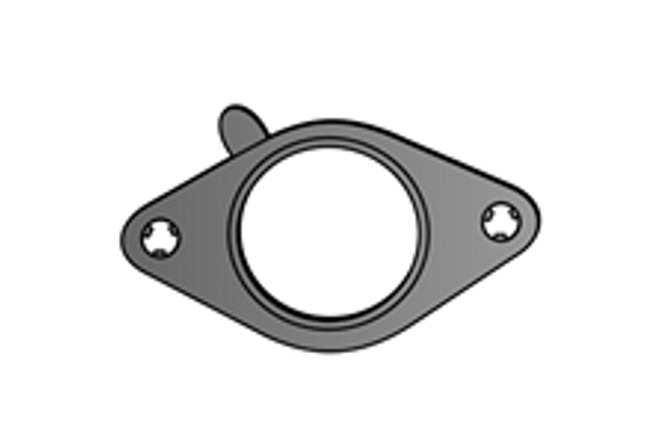 Gasket, exhaust pipe (X75231)
