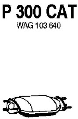 Catalytic Converter (P300CAT)