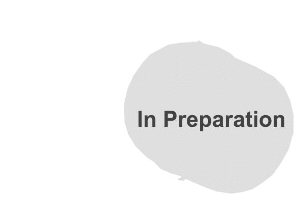 Centre Muffler (T22404)