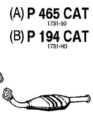 Catalytic Converter (P465CAT)